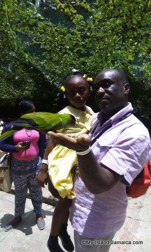 turtle_river_falls_aliana_with_dad_wellesley_2016