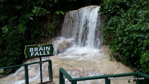 turtle_river_falls_jamaica_brain_falls